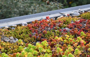 the cost of Midland green roof installation
