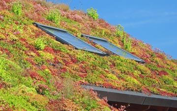 Midland living roof systems